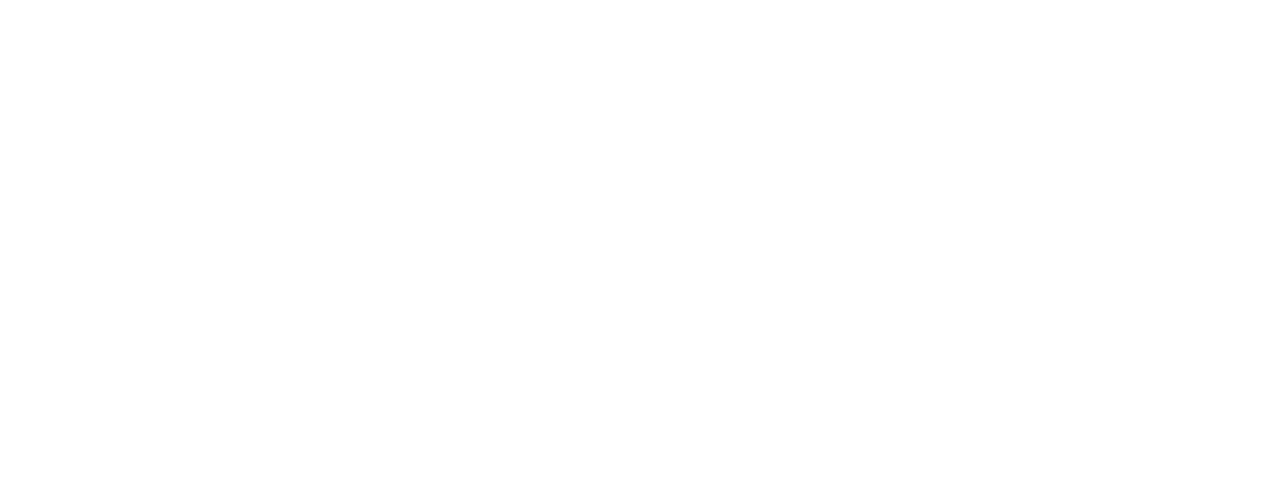 Bison Entreprenad AB